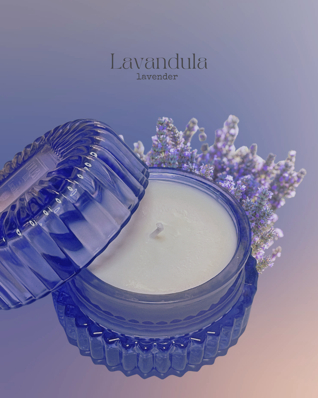 Lavandula Lavender Candle