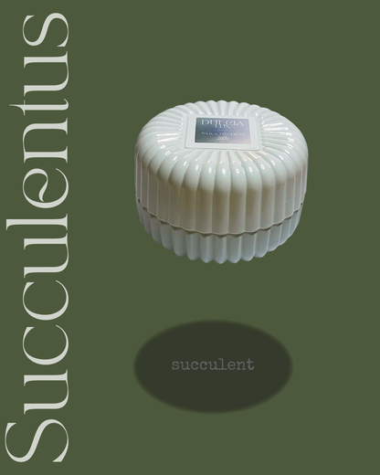 Succulentus Succulent Candle